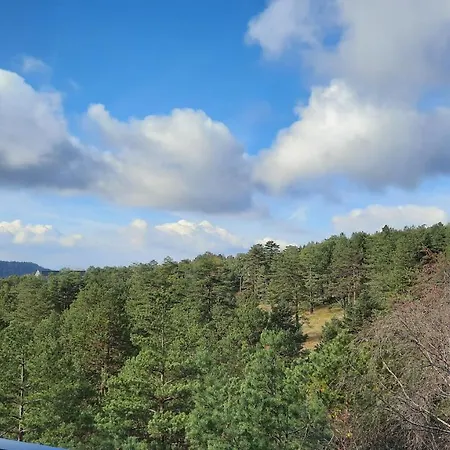 Sunny Woods Lägenhet