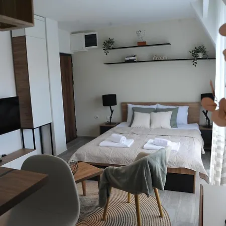 Sunny Woods Apartment Divcibare