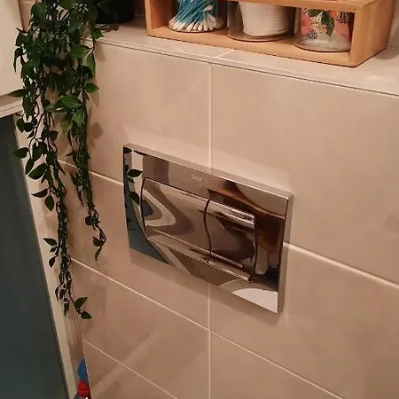 Sunny Woods Divcibare