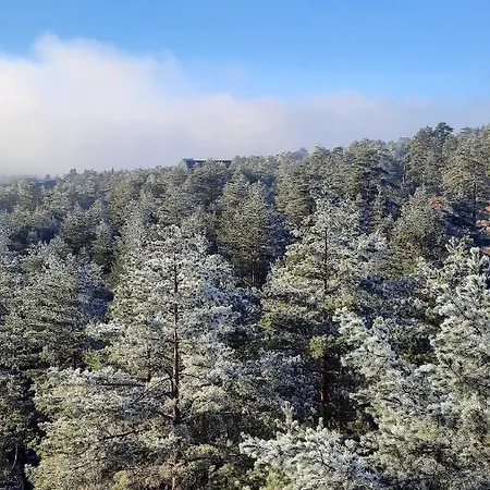 Lägenhet Sunny Woods *