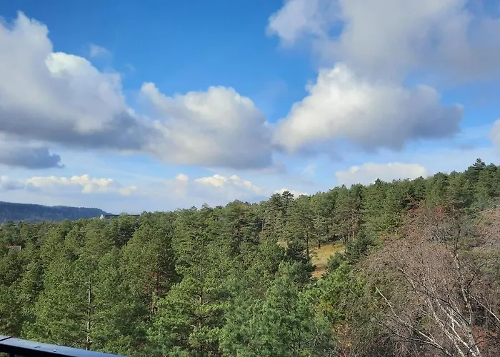 Sunny Woods Apartman