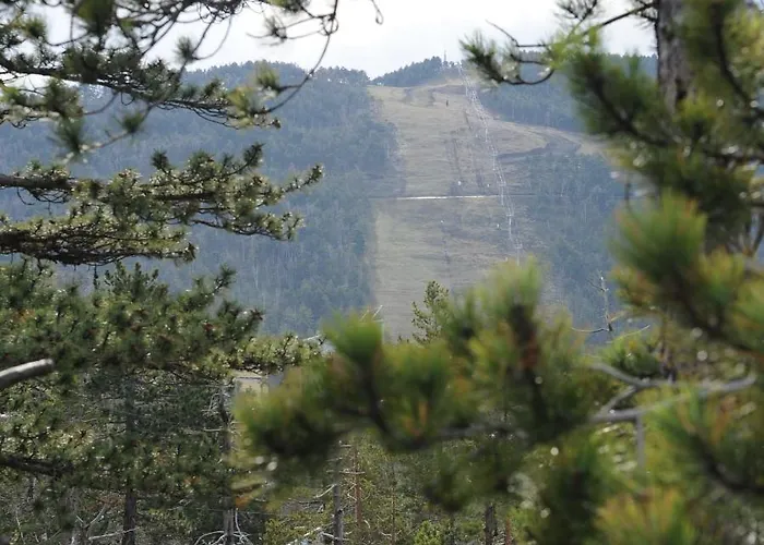 Apartman Sunny Woods *